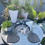Mini Love Island Style Guest House Includes Personal Hot 24 Hour Swimming Pool, Outdoor Bathtub, Heated Dining Dome And Fire Pit, All This Is Secretly Located In The Busy Suburbs Of Nottingham